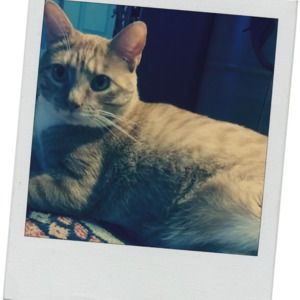 Meet your Posher, Beth